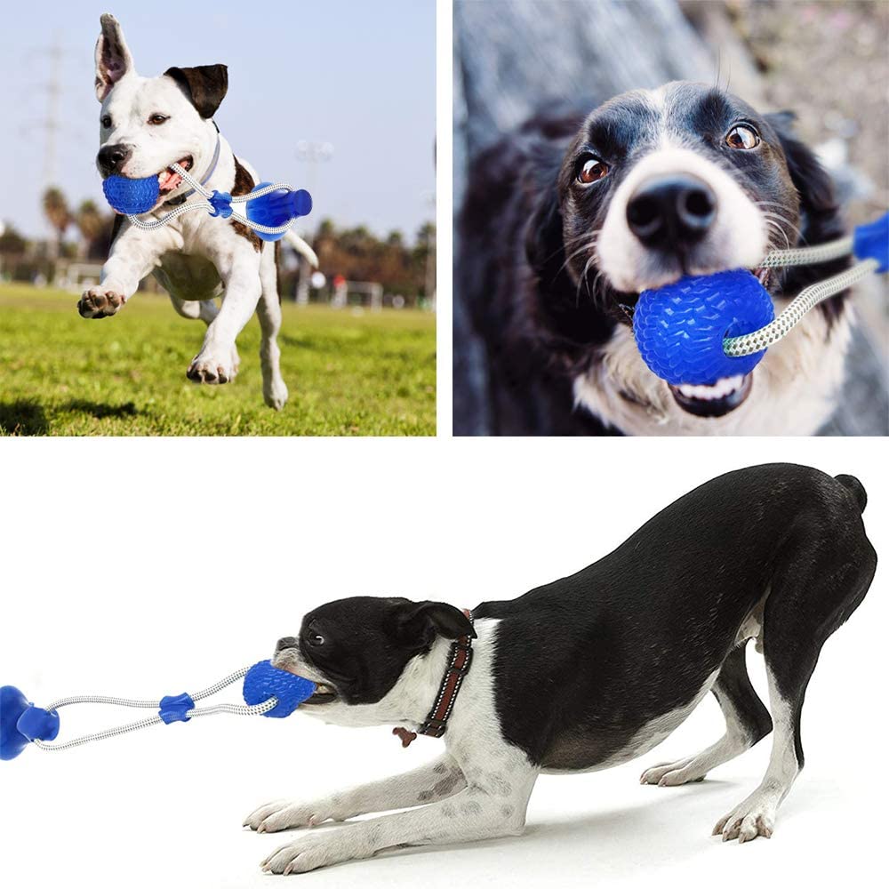 Interactive Suction Cup Dog Chew Toy